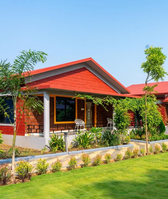 Jungle View pool Resort