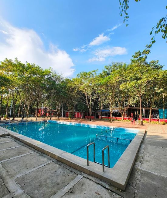 Jungle View pool Resort