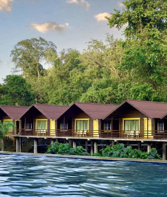 Jungle View Pool Resort