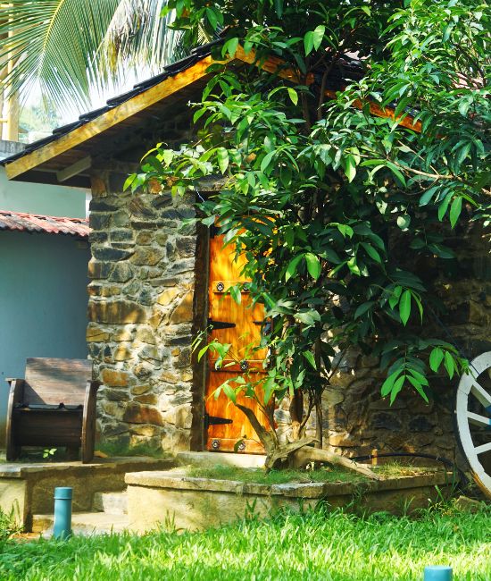 Jungle Homestay