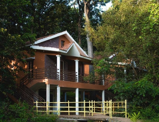 Jungle View Room